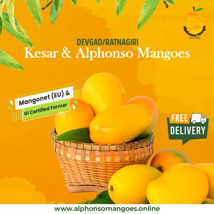 alphonso mango pulp buy online