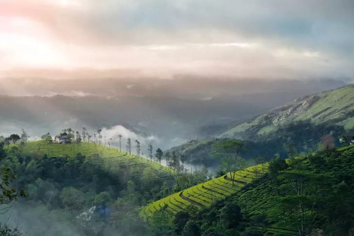 Kerala Vacation Trip: Explore Top Hidden Spots For Nature Lovers