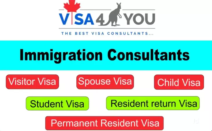 Visa Consultants