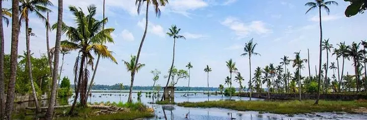 Memorable Journey To Kerala From Ahmedabad With Tour Itinerary