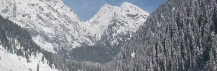 Plan A Winter Trip To Kashmir From Katra: Explore The Snowy Attractions To Enjoy A Unforgettable Journey