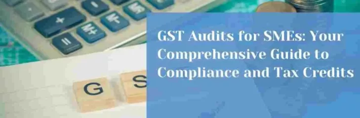 GST Audits