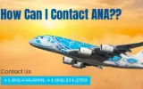 ANA Airlines customer service