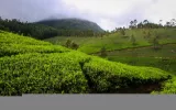 Plan Your Relaxing And Rejuvenating Winter Holidays In Kerala