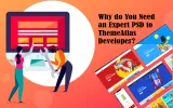 Why do You Need an Expert PSD to ThemeAtlas Developer?