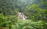 Hainan Tropical Rainforest National Park
